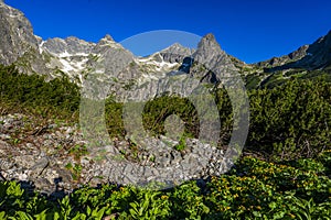 Summer landscape of the High Tatras in the vicinity of Zelene Pleso. Tatra National Park, Slovakia