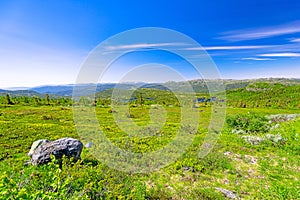 Summer landscape of the highland