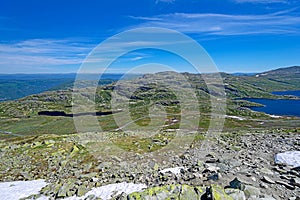 Summer landscape of the highland