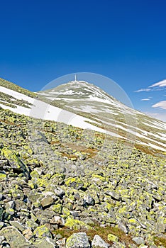 Summer landscape of the highland