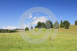 Summer landscape - hills