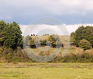 Summer landscape hills farm fields scene no people blue clouded