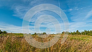 Summer landscape. Hilly field with dry grass in the foreground under a blue sky