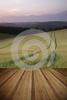 Summer landscape image of wheat field at sunset with beautiful l