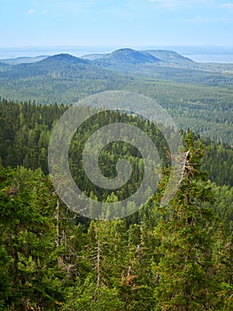 Summer landscape at the Koli National PArk in Finland.