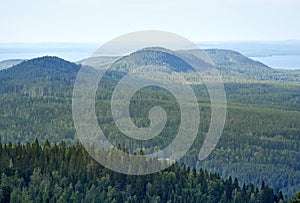 Summer landscape at the Koli National PArk in Finland.