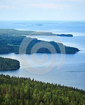 Summer landscape at the Koli National Park in Finland.