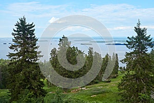 Summer landscape at the Koli National Park in Finland.