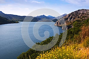 Summer landscape with lake