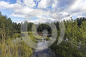 A summer landscape with a lake and beautiful clouds over the trees