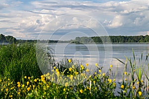 Summer landscape on the Lake Biserovo, Moscow region, Russia.