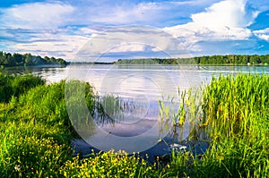 Summer landscape on the Lake Biserovo, Moscow region, Russia.