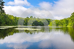 Summer Landscape lake and blue sky. Beautiful wild nature, forest. Lake with mirror reflections