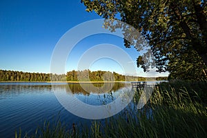 Summer landscape lake in the forest