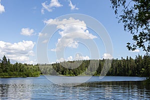 Summer landscape with the lake and the forest