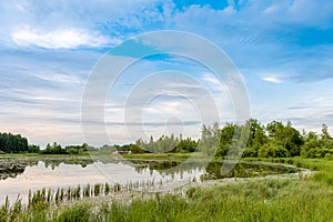 Summer landscape. Lake, forest and blue sky with beautiful clouds.