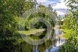 Summer landscape. Lake in the forest. Nature Conservation Concept. Summer background.