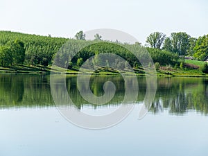 summer landscape with lake and green trees on shore.  calm water and reflections