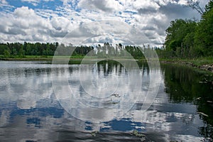 Summer landscape with lake and white cloud reflections in the water, tree silhouettes reflect in the lake water