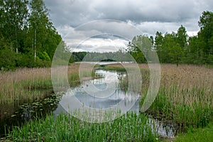 Summer landscape with lake and white cloud reflections in the water, tree silhouettes reflect in the lake water