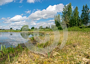 Summer landscape with lake and white cloud reflections in the water, tree silhouettes reflect in the lake water