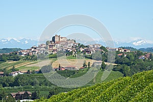 Summer landscape in Langhe (Italy)