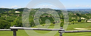 Summer landscape in Langhe (Italy)