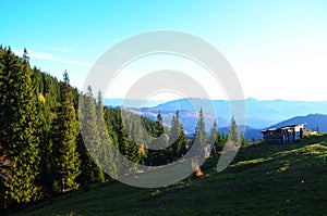 Summer landscape with a lonely house in the Ukrainian Carpathians