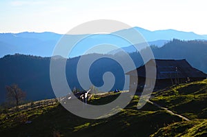 Summer landscape with a lonely house in the Ukrainian Carpathians