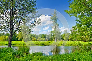 Summer landscape with lonely tree and blue sky