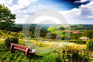 Summer landscape with lonely wooden bench photo