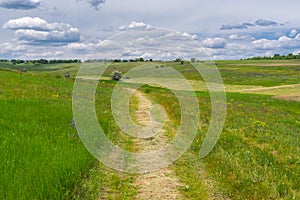 Summer landscape with meadow in haymaking time