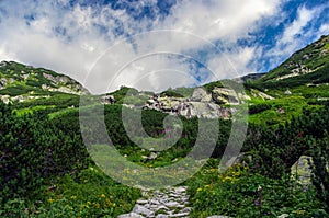 Summer landscape in Mengusovska Valley. Tatra mountains. Slovakia