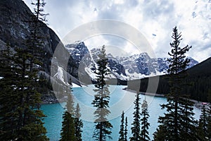 Summer landscape in Moraine lake, Banff National Park, Canada