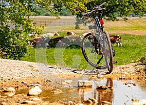 Summer landscape with mountain bike on dirty road