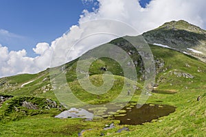 Summer landscape with mountain lake with floating green grass islands under the summit.