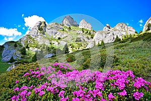 Summer landscape on mountain