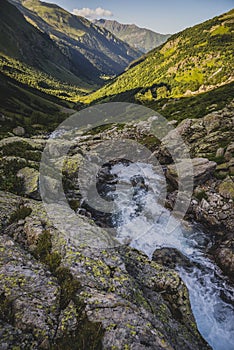 Summer landscape in the mountains