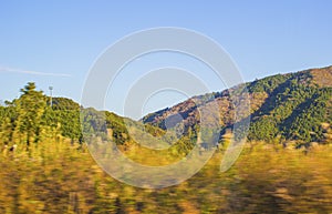 Summer landscape in mountains with blue sky