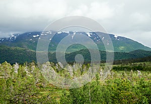 Summer landscape with mountains in Norway