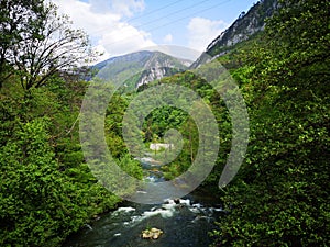 Summer landscape in the mountains with river