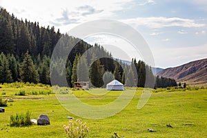 Summer landscape in the mountains. Tall trees of a Christmas tree, the national dwelling is a yurt. Kyrgyzstan Tourism and travel