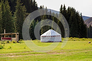 Summer landscape in the mountains. Tall trees of a Christmas tree, the national dwelling is a yurt. Kyrgyzstan Tourism and travel