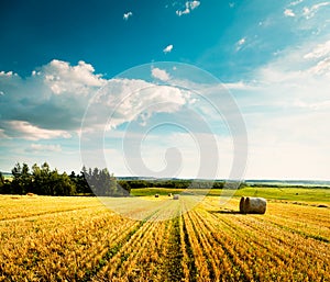 Summer Landscape with Mown Wheat Field and Clouds
