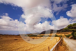 Summer landscape - Naxos island