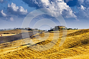 Summer landscape near Asciano photo