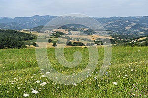 Summer landscape near Bagno di Romagna, in the Appennino