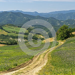 Summer landscape near Bagno di Romagna, in the Appennino