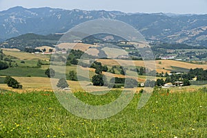 Summer landscape near Bagno di Romagna, in the Appennino