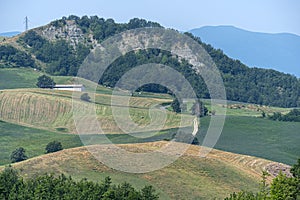 Summer landscape near Bagno di Romagna, in the Appennino